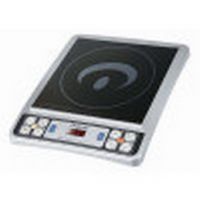 portable induction cooker