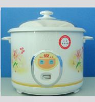 Elegant Rice Cooker