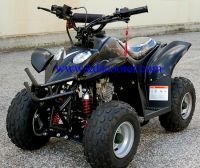 Sell 110CC ATV with new plastic body (KD-ST110C)