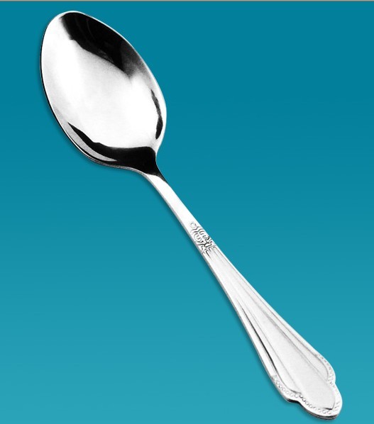 Stainless Steel Spoon