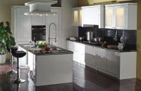 Kitchen Cabinets (with Lacquer Coating door)