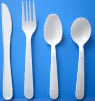 Disposable Dinnerware